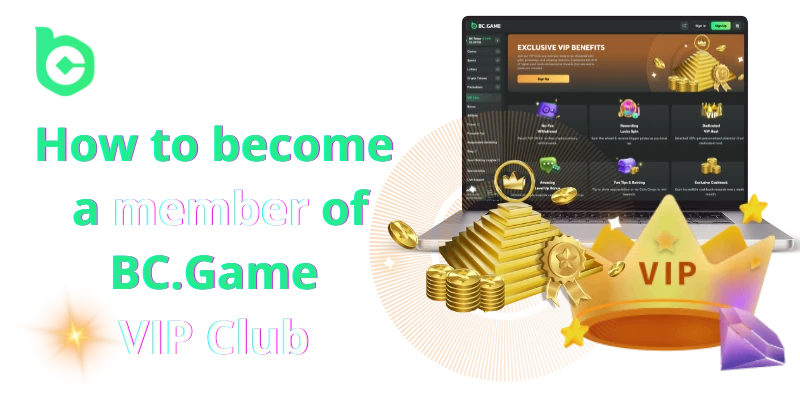 vip club program at the bc.game casino