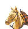 bc game racing section icon